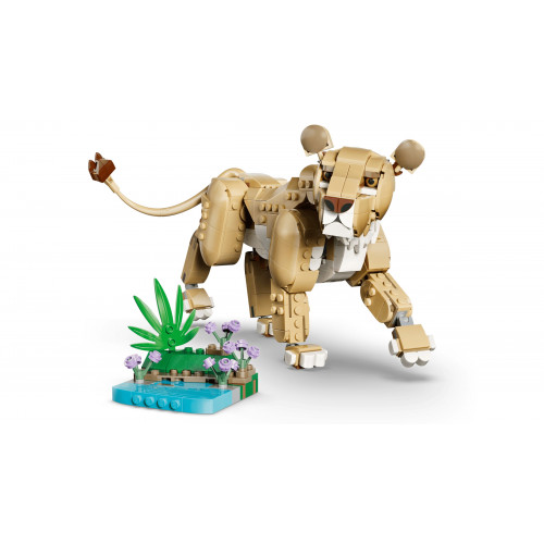 Конструктор LEGO Creator 3-in-1 Wild Animals: Majestic Lion (31386)