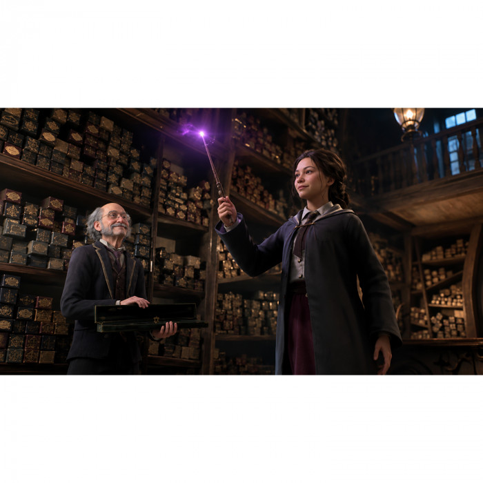 Игра для PS5 «Hogwarts Legacy» (рус.суб.)